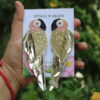 Parrot