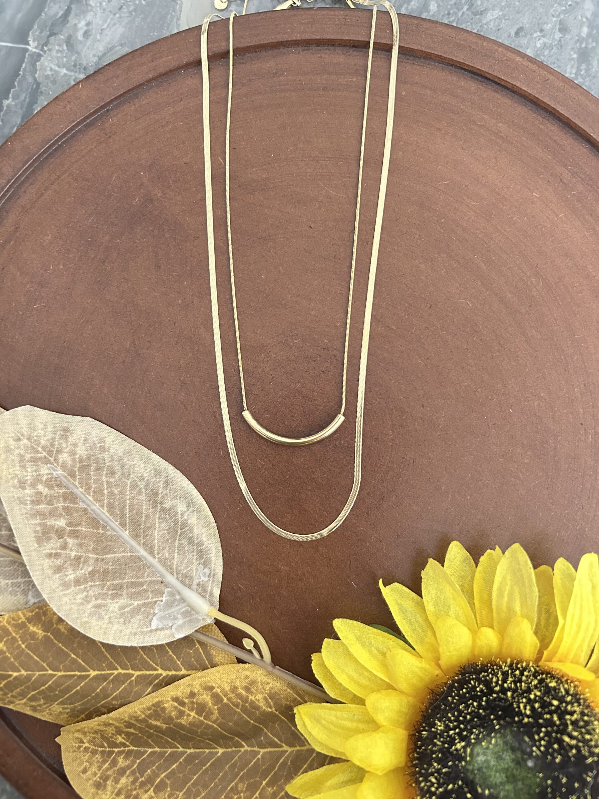 Cassy Two Layer Necklace